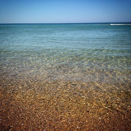 Studio Entre Lac Et Ocean A Hossegor Soorts-Hossegor Ngoại thất bức ảnh
